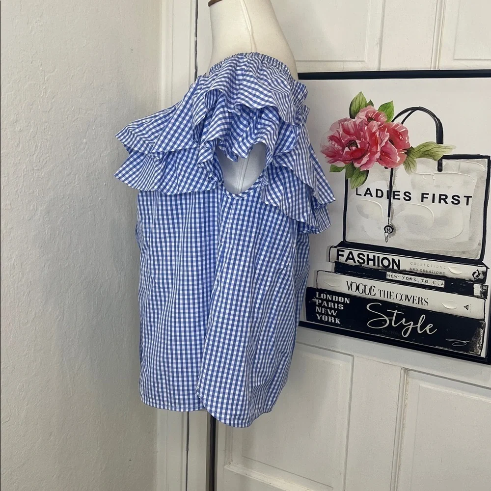 NWT Petersyn Blue & White Gingham Top Size S - Picture 3 of 9
